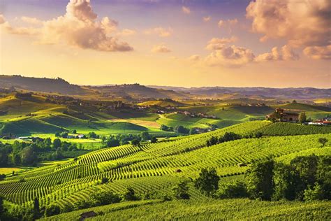 Wine Regions in Italy: Scenery, Cities, and Signature Wines | kimkim