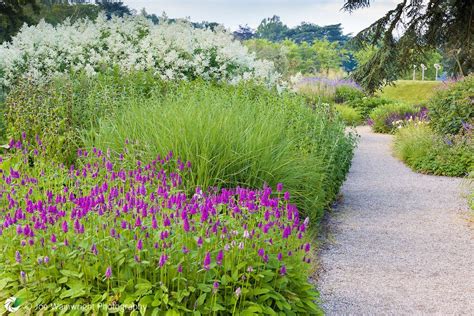 Trentham Gardens - Long Herbaceous Border in July | Joe Wainwright Photography | Landscape ...