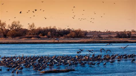 Grand Island (Nebraska)：The Heart of Nebraska that Holds History Along with Its Rivers and Home ...