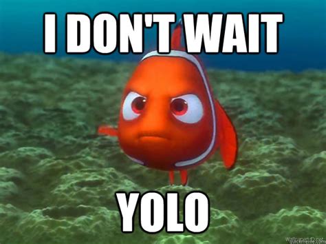 i dont wait yolo - nemo yolo meme