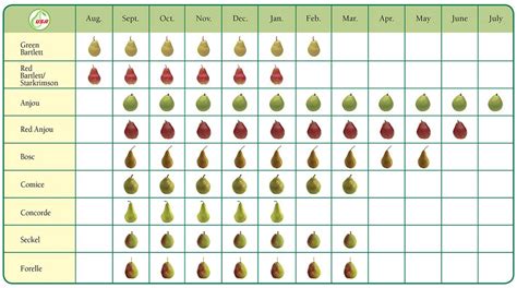 PBNW Retailer Training: Course 1 | Pear varieties, Vegetable garden ...