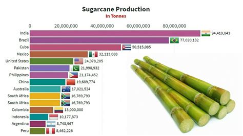 Top 15 Sugarcane producing countries in the World from 1961-2019 - YouTube