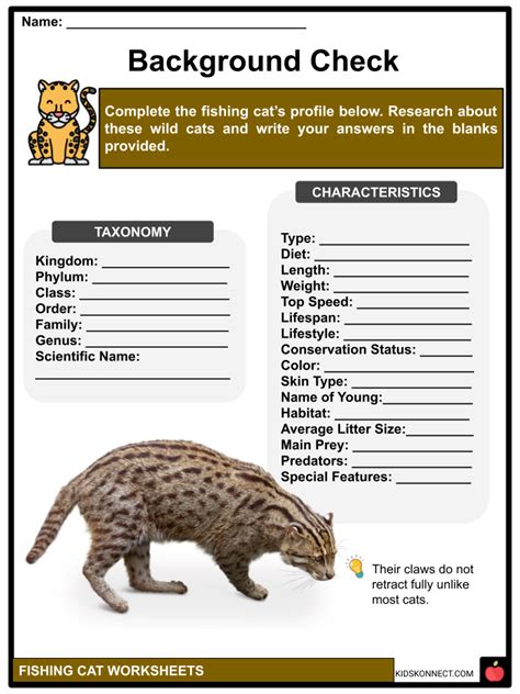 Fishing Cat Facts, Characteristics, and Threats - Teaching Resources