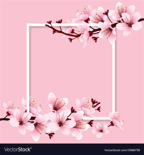 Cherry blossom Royalty Free Vector Image - VectorStock