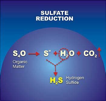 Sulfate Reduction Recations | Chemistry, Reduction, Science