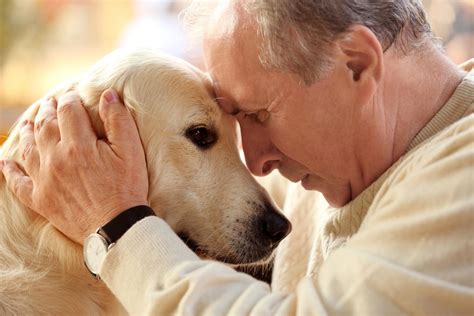 Therapy Dogs