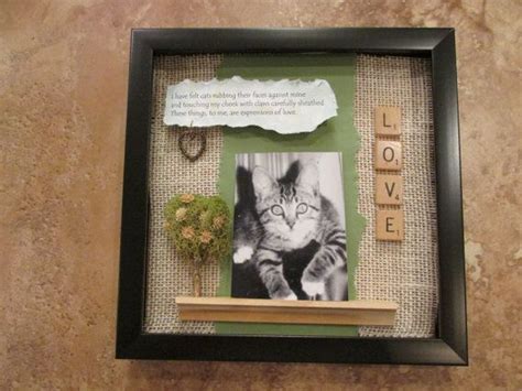 Best Shadow Box Ideas Pictures, Decor, and Remodel | Cat shadow, Cat memorial ideas, Pet memorials