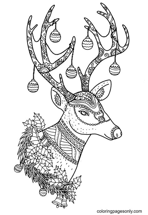 Christmas Little Reindeer Coloring Pages - Reindeer Coloring Pages - Coloring Pages For Kids And ...