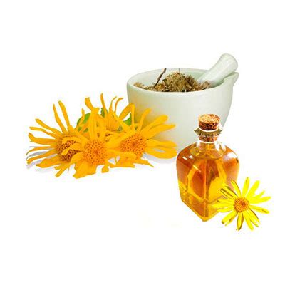 Arnica | Arnica Montana Extract USA | Buy Arnica Plant Extract Texas USA