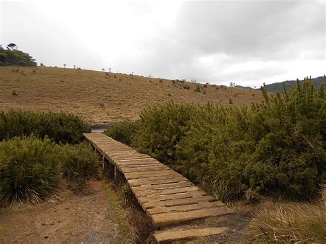 Horton Plains National Park | The Vacation Gateway