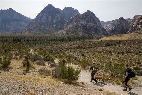 Las Vegas hiking trails getting more traffic during pandemic | Local Las Vegas | Local