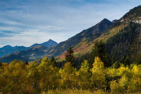 More Utah Fall Colors | Clint Losee Photography