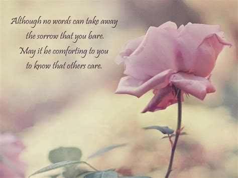 Sympathy Quotes And Saying For Losing Someone - Poetry Likers