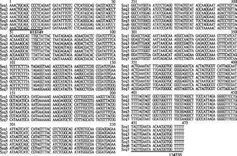 Comparison of partial cytochrome b gene from six grouper species, along... | Download Scientific ...