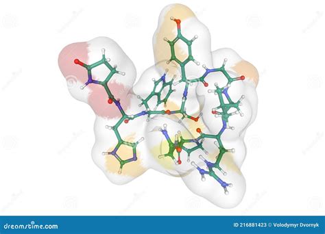 Structure of the Human Gonadotropin-releasing Hormone Stock ...