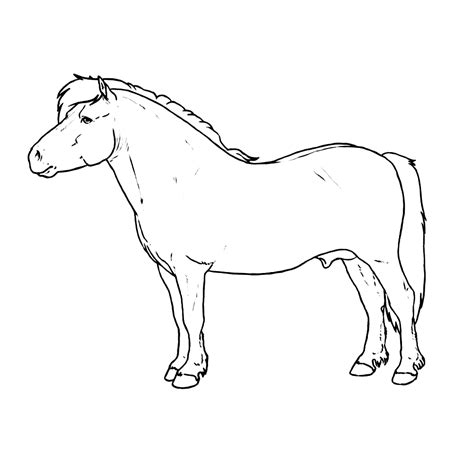 Leuk voor kids | Shetland pony | Paarden, Paard tekeningen, Kleurplaten