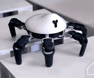 Hexa Intelligent Spider Robot