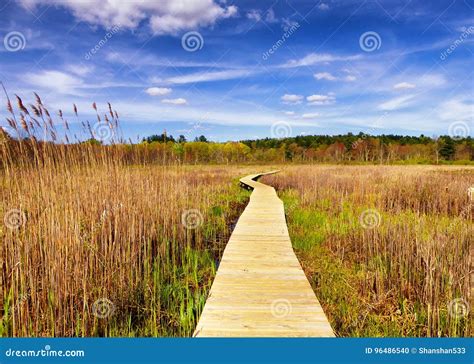 White Memorial Obelisk Wed Red Star On A Green Forest Background Stock ...