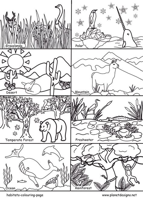 Habitats Colouring Page | Animal habitats preschool, Habitat activities, Animal habitats