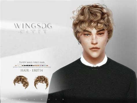 Fluffy male curly hair ER0714 - The Sims 4 Catalog