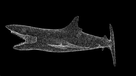 3D Shark with Open Mouth on Black Background. Object Made of Shimmering Particles. Wild Animals ...