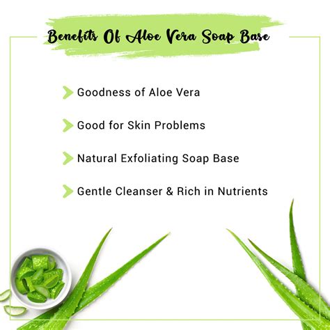 Aloe Vera Soap Base | Buy Aloe Vera Melt and Pour Soap Base Online | Bulk Manufacturer ...