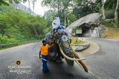 The Kap Chanting (Kapa Kapeema) Ceremony 2023 – Sri Dalada Maligawa ...