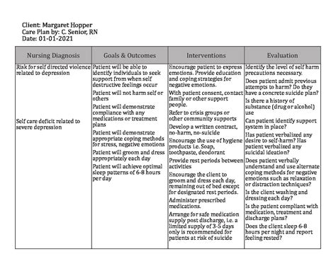 Mental Health Nursing Care plan Template - The Nurses Brain