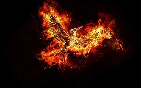 Desktop Wallpapers Birds Phoenix mythology Fantasy Fire Black