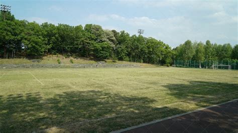 Grass Soccer Field In Outdoor Park - Stock Photos | Motion Array