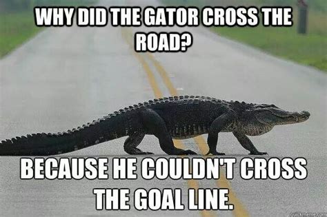 Hahahahhaha | Florida football, Florida gator memes, Georgia bulldogs