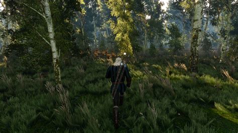 The Witcher 3 PS4 vs Xbox One Head to Head Comparison; Draw Distance ...