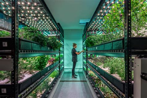 Cities are Turning to Vertical Farms to Supply Fresh Produce - Blue ...