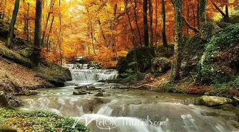 Autumn Woods Waterfall Wallpaper Mural by Magic Murals