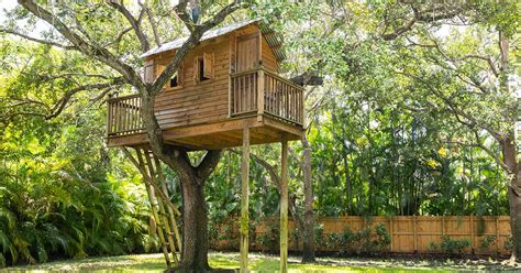 Have Fun with the Kids and Build a Treehouse