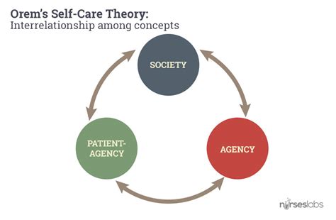 Dorothea Orem: Self-Care Deficit Nursing Theory - Nurseslabs