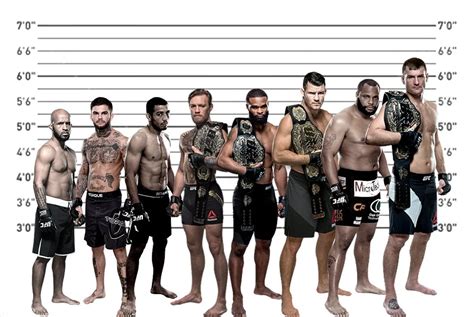 How Tall Are MMA Fighters? - VictoryFighter