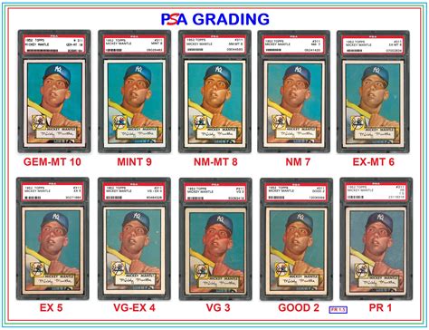 PSA Grading: A Complete Guide about Sports Cards Grading - SlushWeb