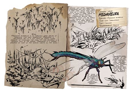 Meganeura - Official ARK: Survival Evolved Wiki