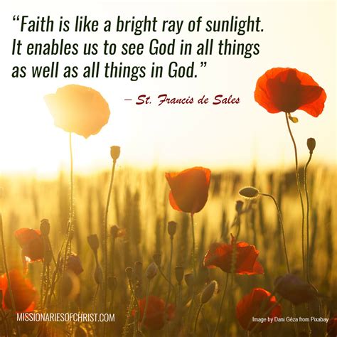 Saint Francis de Sales Quote on Faith - Missionaries of Christ ...