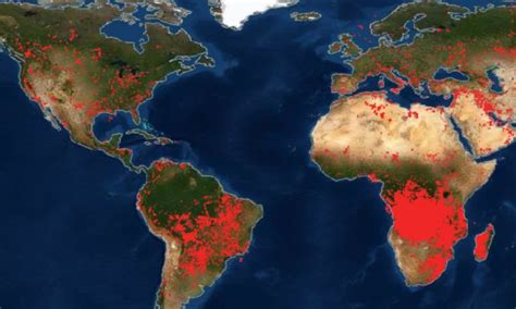 Maps of ongoing forest fires around the world are terrifying and Africa looks like it got ...