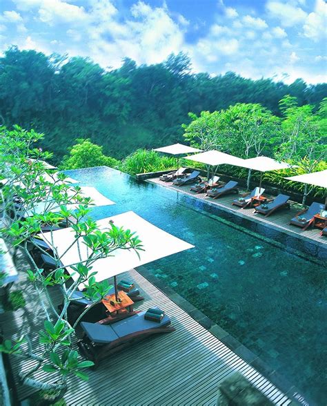 Ubud, heaven of Bali, Maya Spa & Resort | Ubud resort, Exotic honeymoon ...