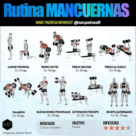 26 Best Pictures Rutina Mancuernas Casa - Rutina De Musculacion En Casa O El Gym De Pesas Libres ...