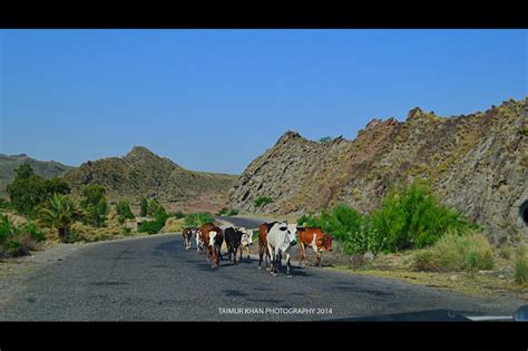 Bannu - Home of Pakhtoons - History Pak