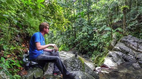 Puerto Rico Layover - Hiking El Yunque Rainforest - YouTube