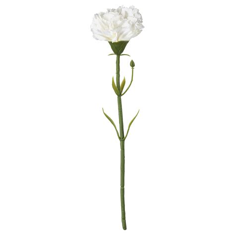 SMYCKA artificial flower, carnation/white, 30 cm - IKEA