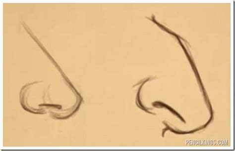 How To Draw Different Nose Shapes Easily