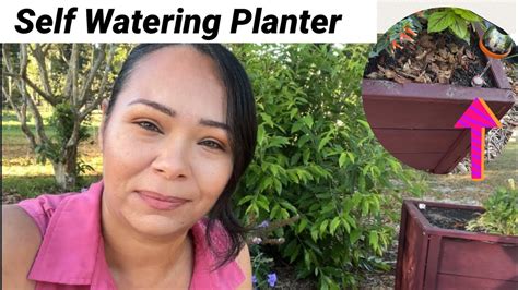 DIY Wood Planter Box - DIY Self-Watering Planter - YouTube