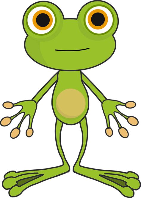 Katak Kartun Kodok - Gambar vektor gratis di Pixabay - Pixabay