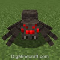 Minecraft Spider Jockey Spawn Egg